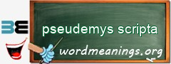 WordMeaning blackboard for pseudemys scripta